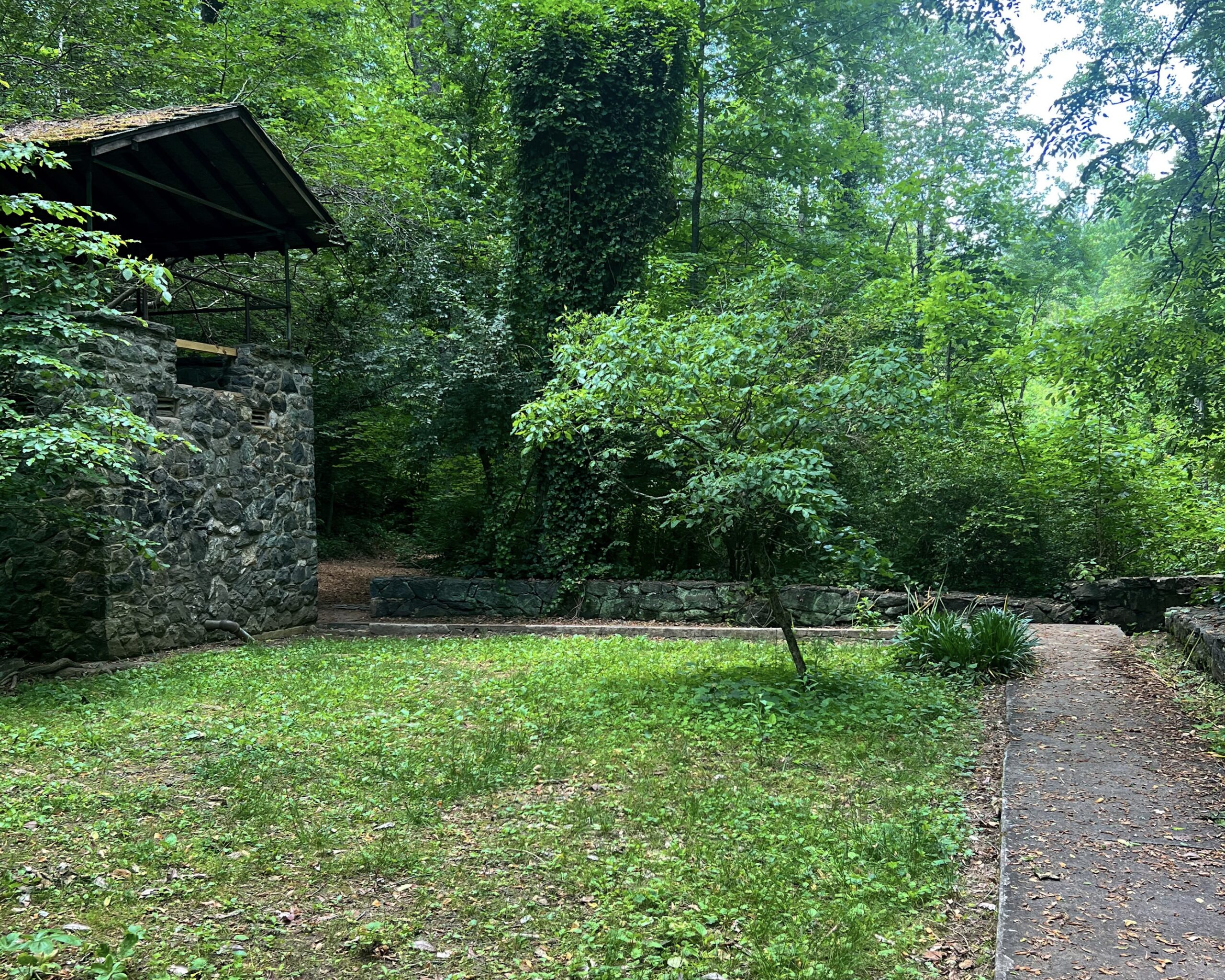 Exploring Winston-Salem's Craigslist Gems