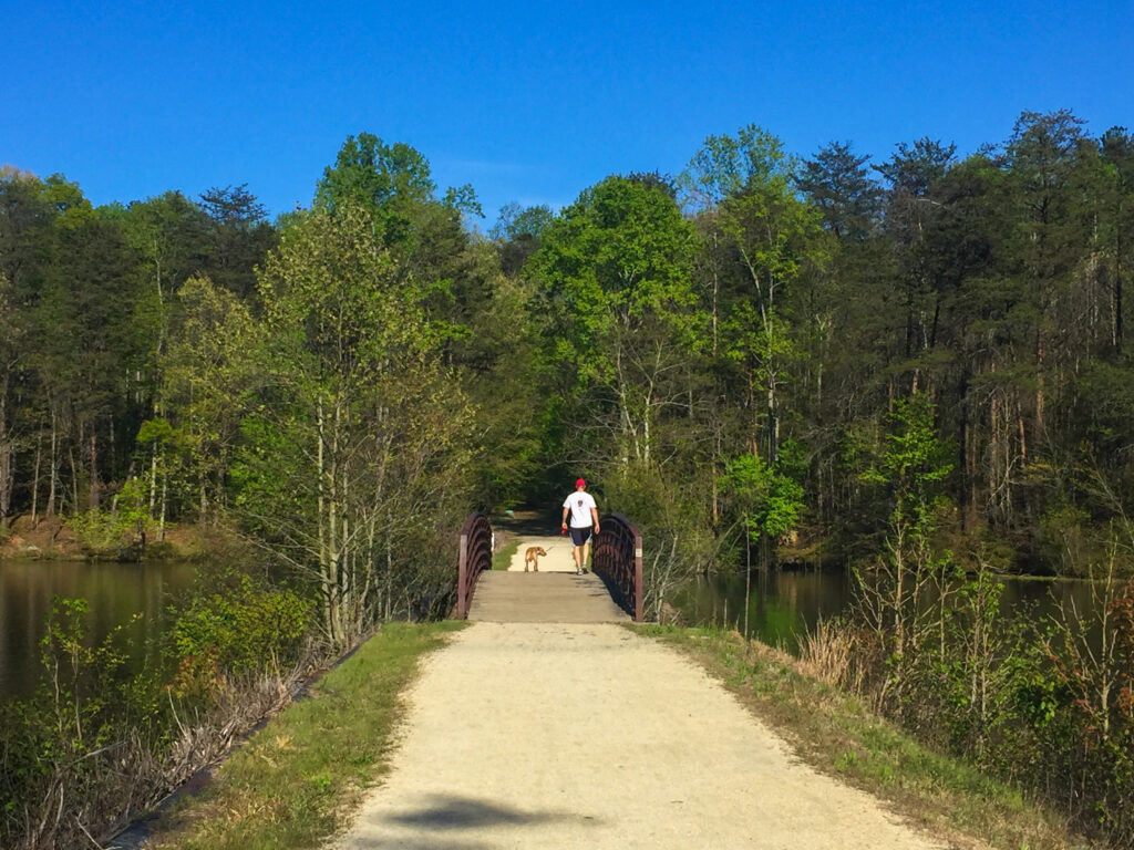 Walking dog on path over bridge at Salem Lake in Winston-Salem, NC