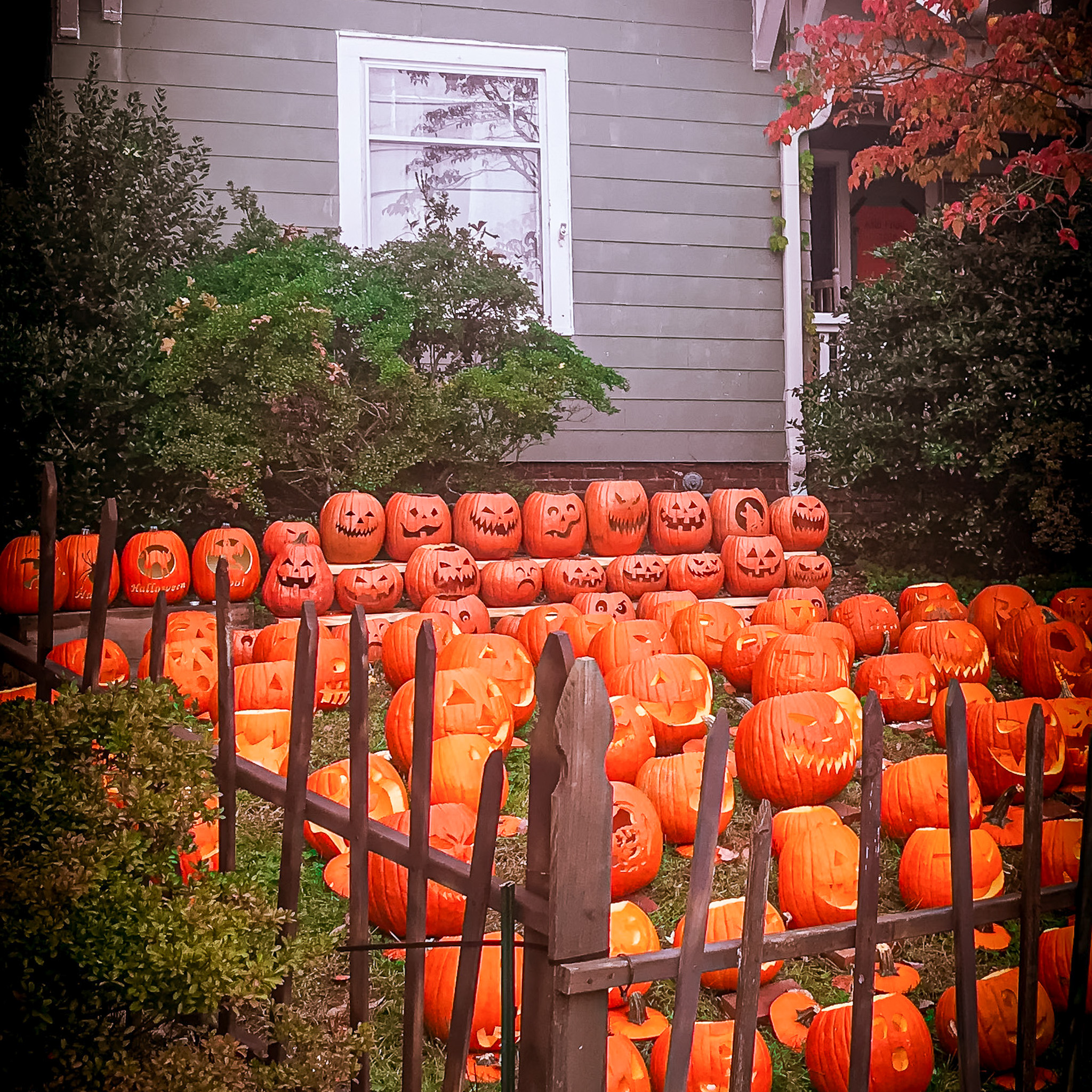 WinstonSalem's Best Streets for TrickOrTreat Living WS